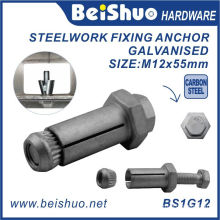 M12X20X55mm High Quality Zinc Plated Fix Bolt for Construction